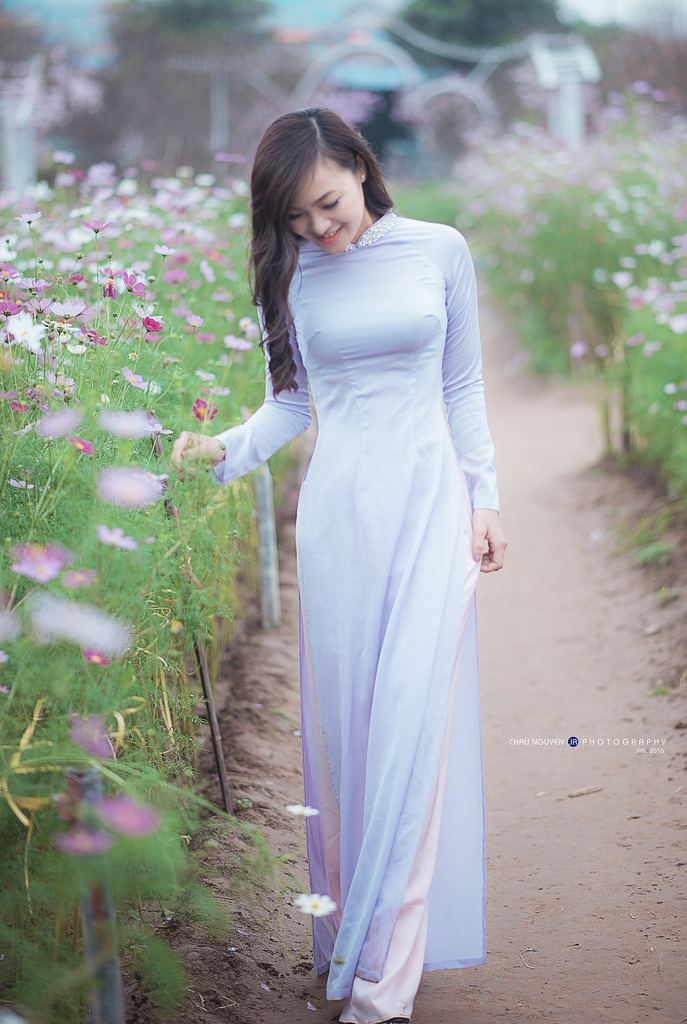 小桥老树全部小说作品